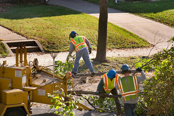 Seasonal Cleanup (Spring/Fall) in Redlands, CA